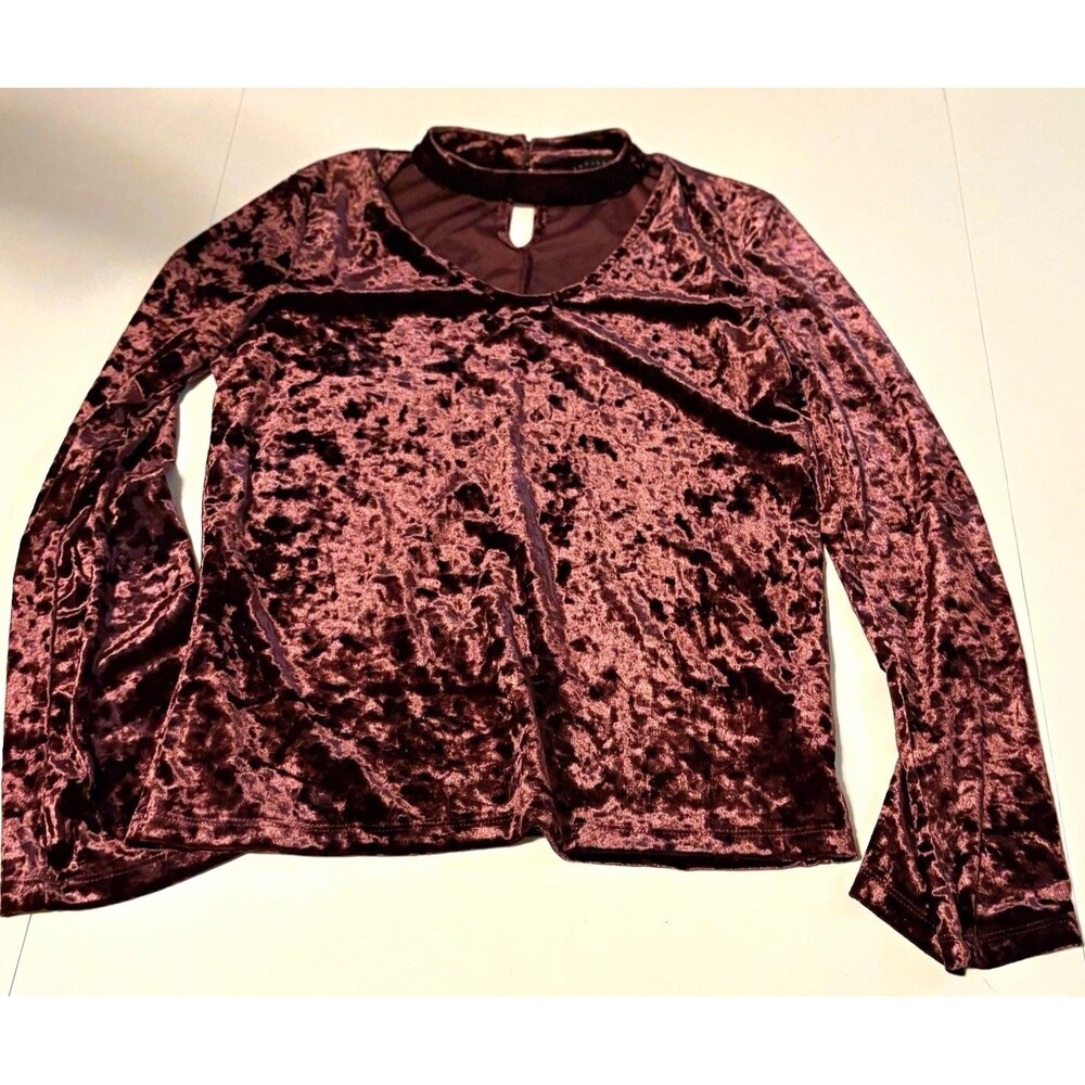 Sanctuary Women’s Top M Purple Solid Velvet Mock Neck Long Sleeve Pullover